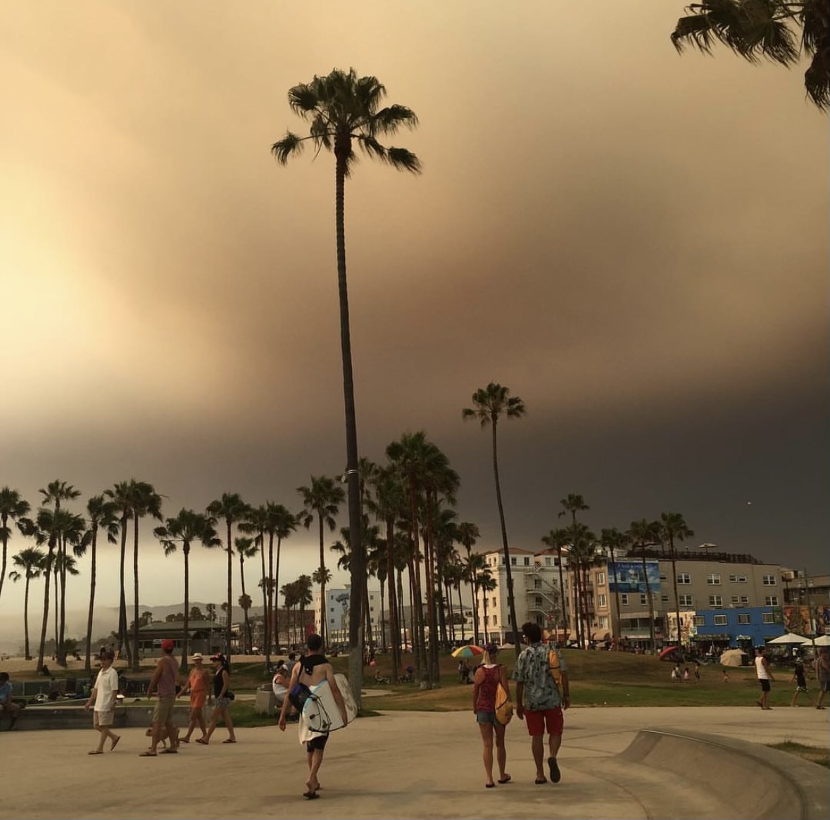 Venice Beach
